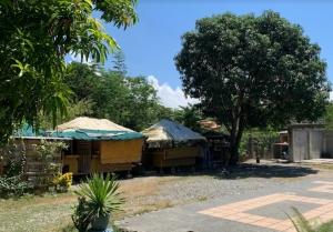 Agri Lot along Wide Cemented Road, Pao Norte, San Fernando City, La Union